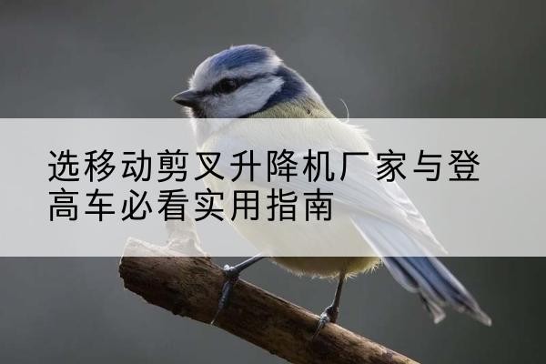津南区电动升降机厂家-选移动剪叉升降机厂家与登高车必看实用指南