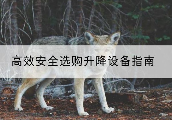津南区升降货梯厂家推荐-*安全选购升降设备指南