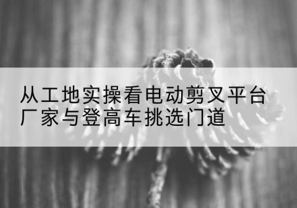 津南区电动剪叉升降平台厂家-从工地实操看电动剪叉平台厂家与登高车挑选门道